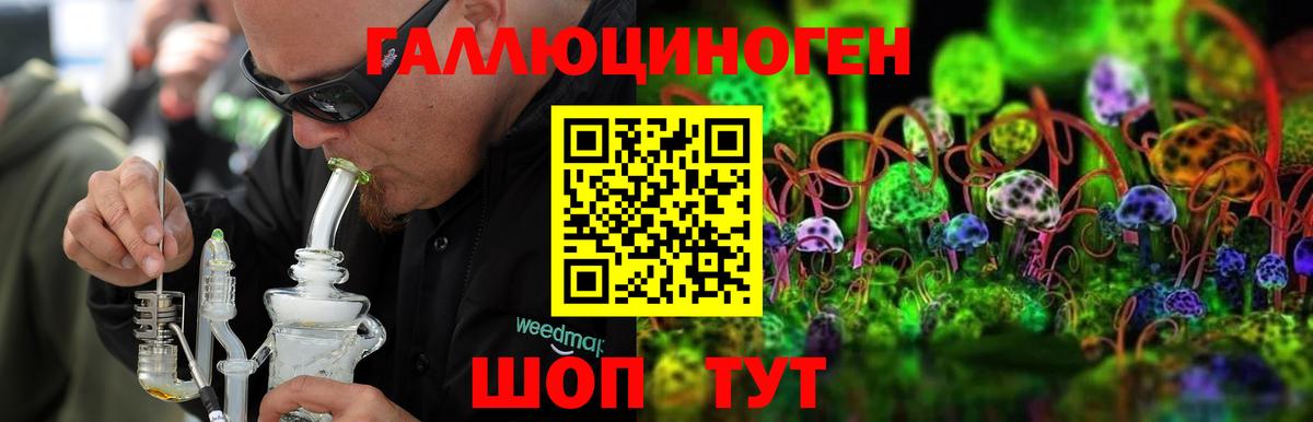 Златоуст  Псилоцибиновые грибы GOLDEN TEACHER  Вход с VPN 